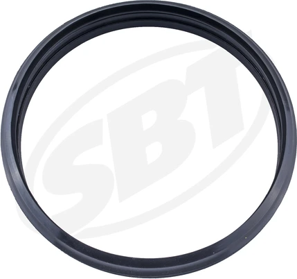 SBT Jetpump Seal Sea Doo