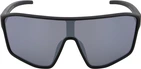Spect Red Bull Daft Sunglasses black smoke with silver mirror