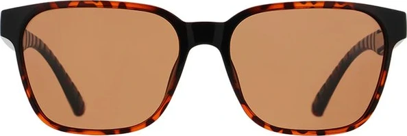 Spect Red Bull Eliot Sunglasses Shiny Havana w Brown lens