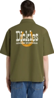 Dickies Vernal shirt