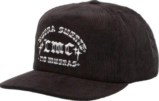 Loser Machine Fences cap