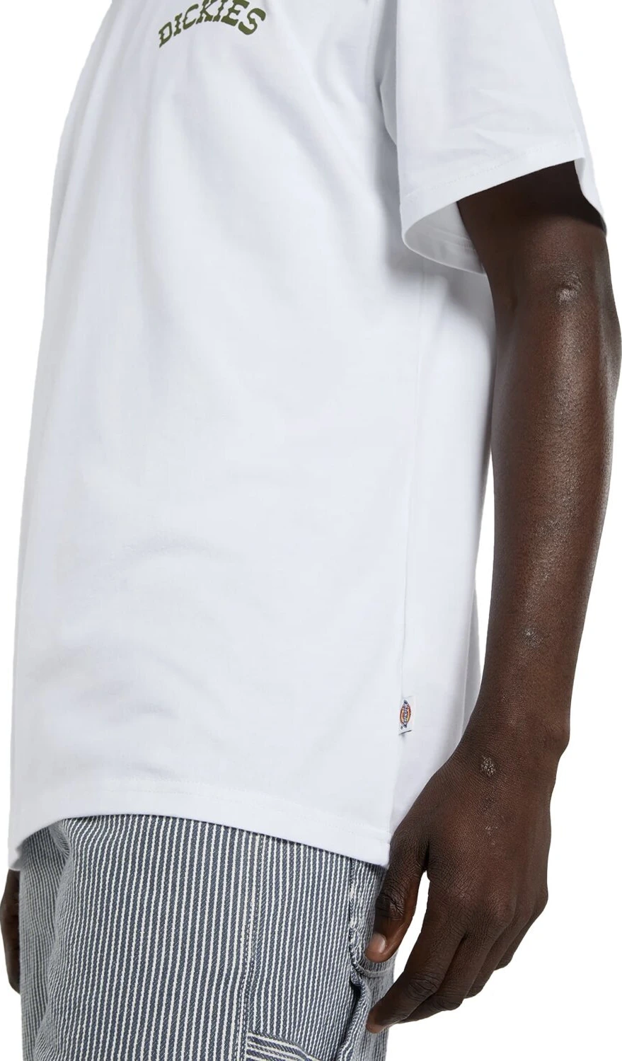 Dickies Bettsville t-shirt, White, L