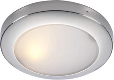 Polaris Nickel ceiling