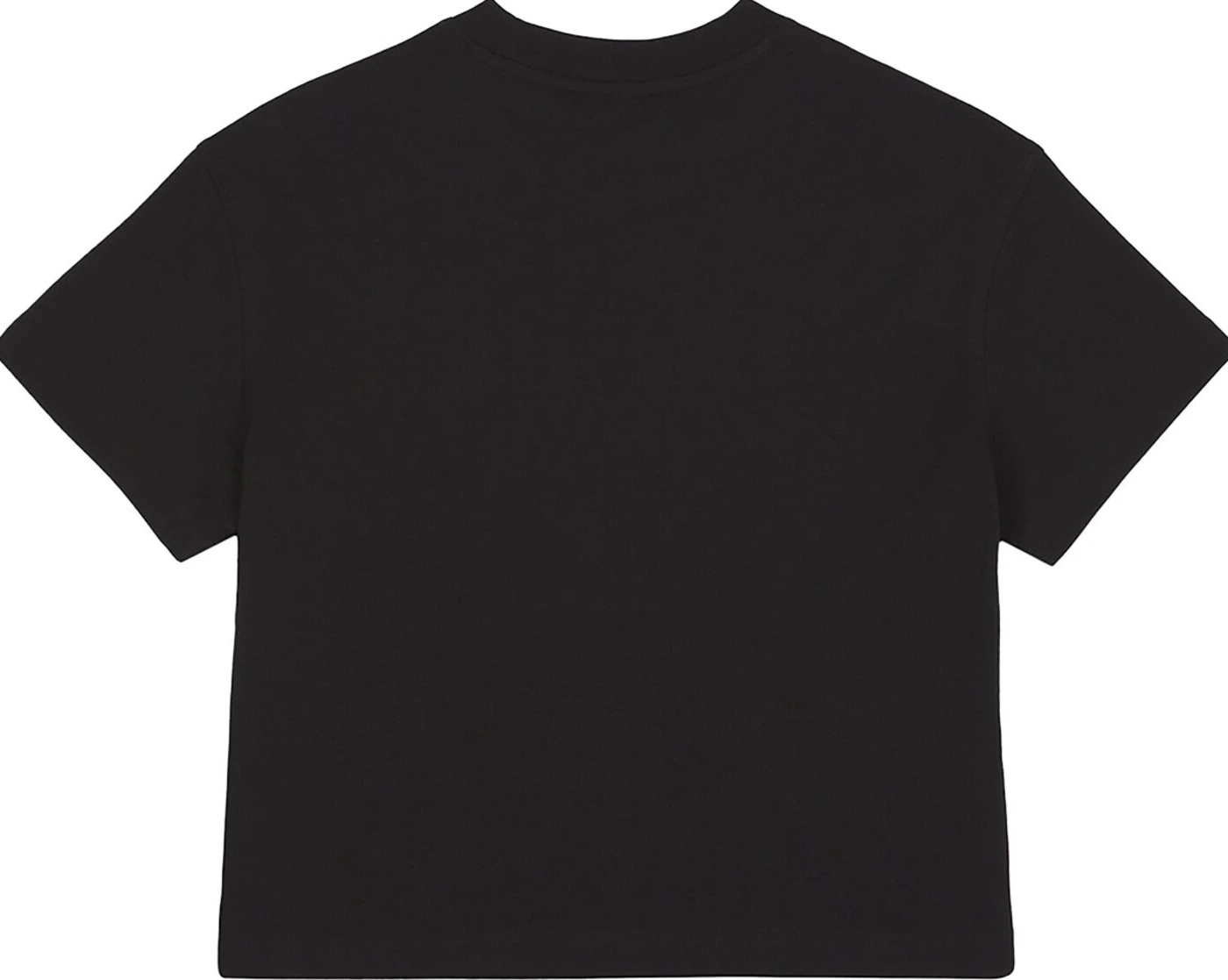 Dickies Oakport female boxy t-shirt, Black, S