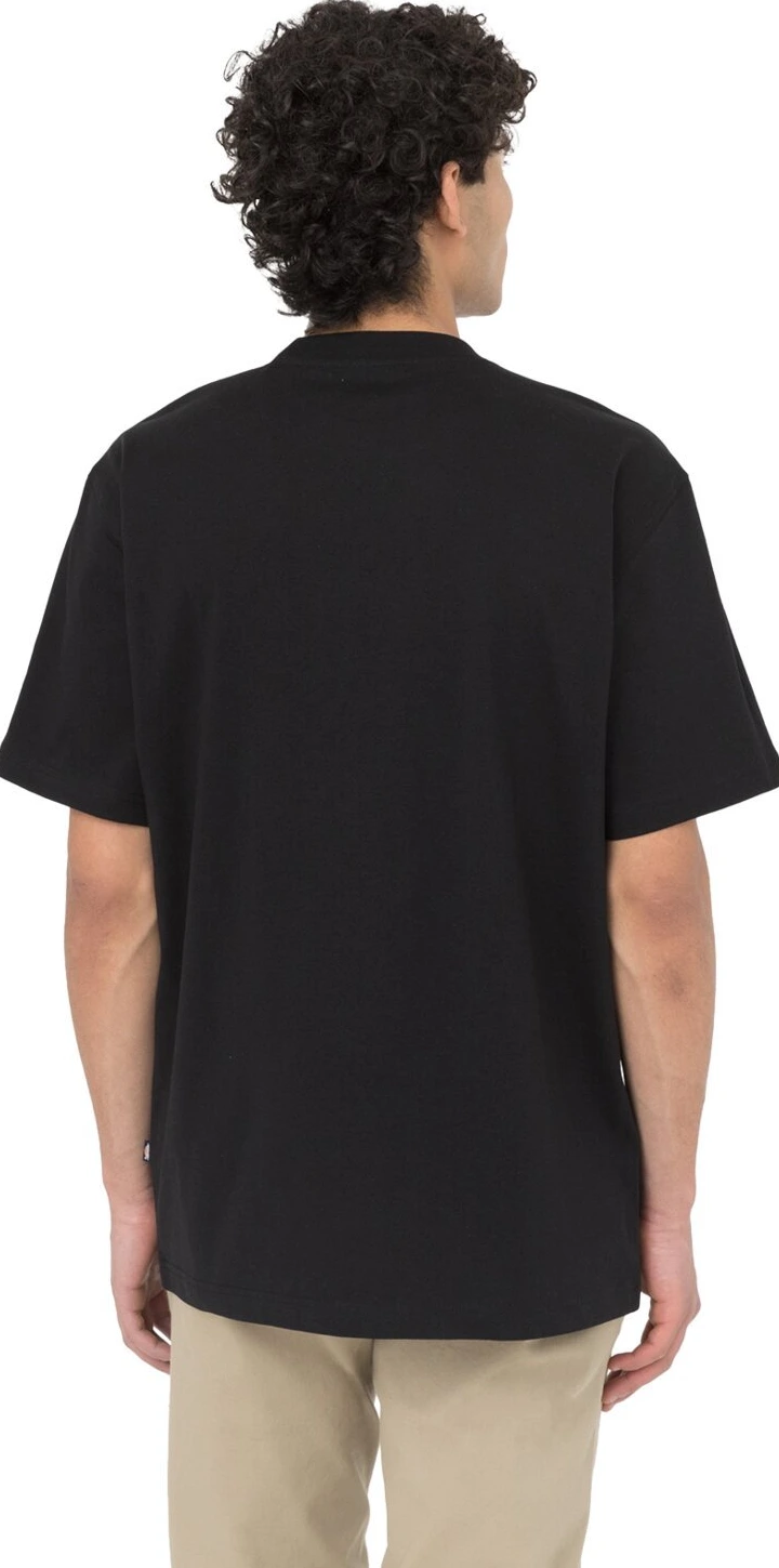 Dickies Summerdale t-shirt, Black, M