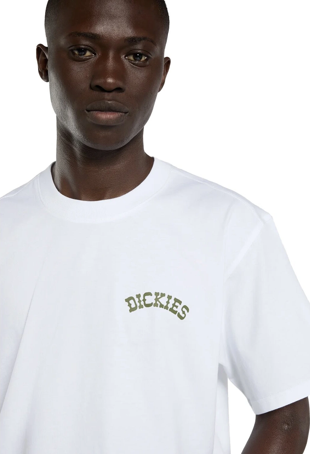 Dickies Bettsville t-shirt, White, L