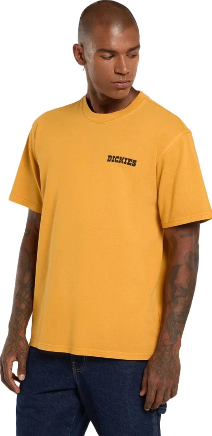 Dickies Darrtown t-shirt, sunflower Yellow, L