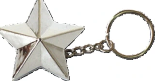Triktopz Star key chain