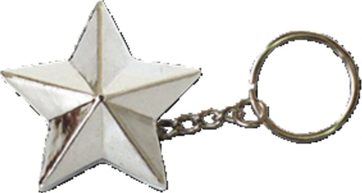 Triktopz Star key chain, Silver