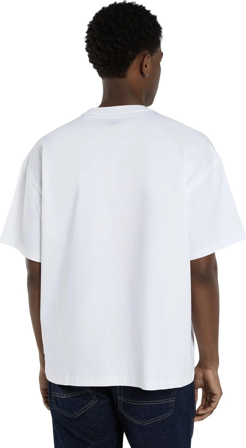 Dickies Derby t-shirt, White, L