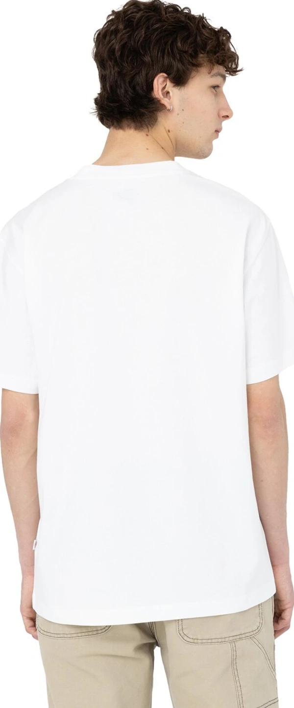 Dickies Summerdale t-shirt, White, M