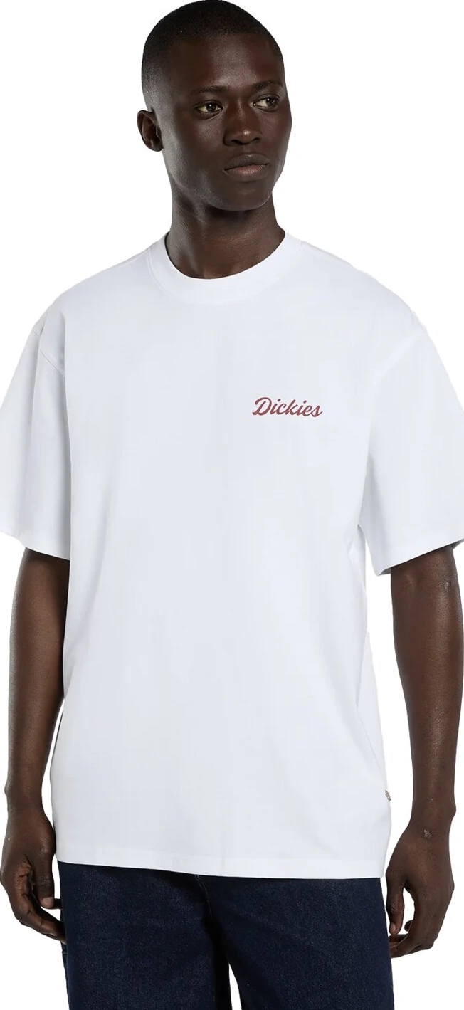 Dickies Wellsville t-shirt, White, L