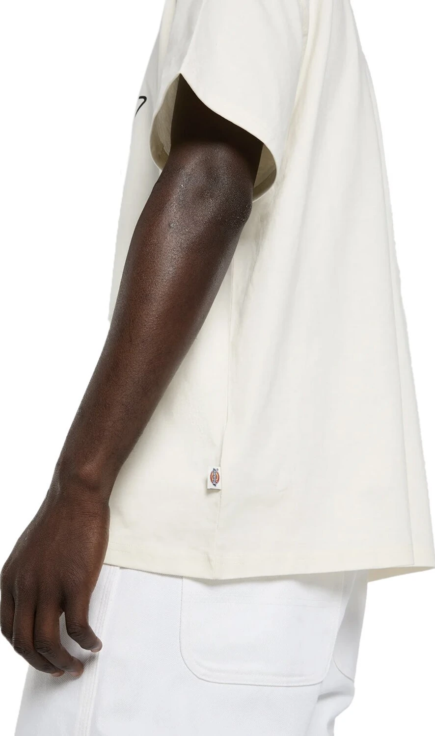 Dickies Irondale t-shirt, egret Cream, L