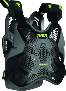 Sentinel Pro Guard