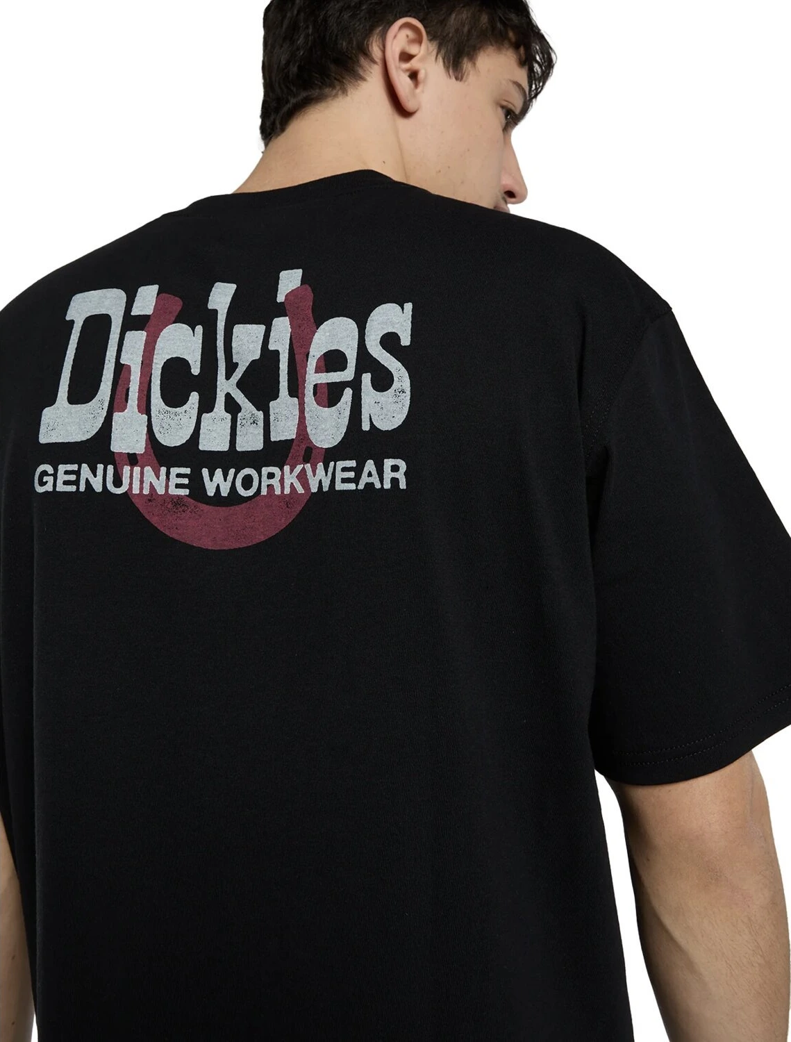 Dickies Vernal t-shirt, Black, 2XL