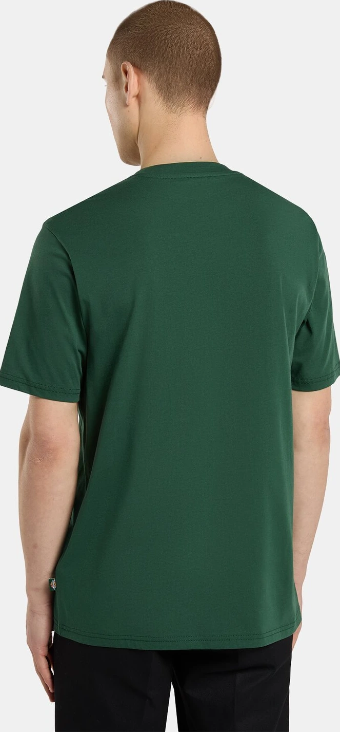 Dickies Mapleton t-shirt, pine needle Green, Green, S