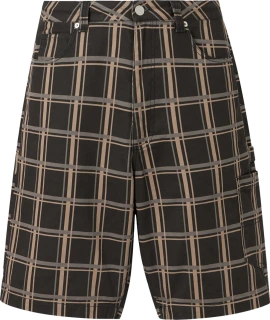 Santa Cruz Carpenter big shorts