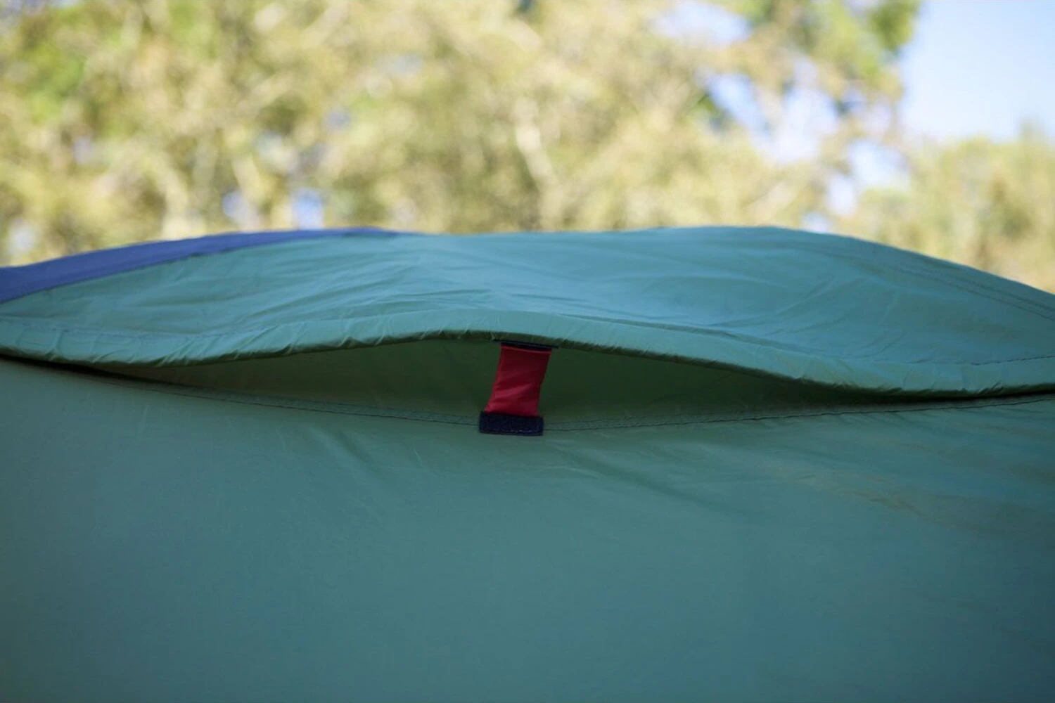 Coleman Darwin 2+ tent, dark grey, army Green, Green