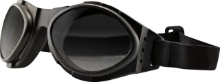 Bugeye II Goggle