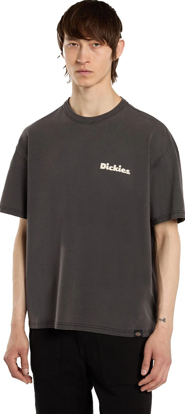 Dickies Slayden GD t-shirt black, 2XL