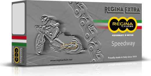 Regina 428 SP5 Chain Endless