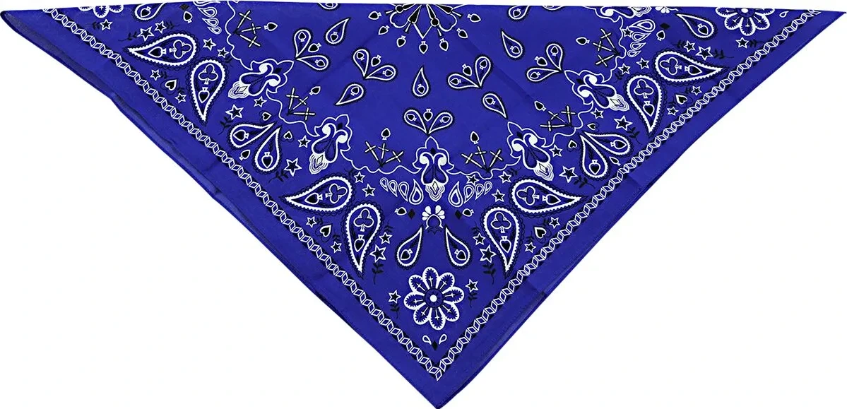 BANDANA COTTON NVY PAISLY