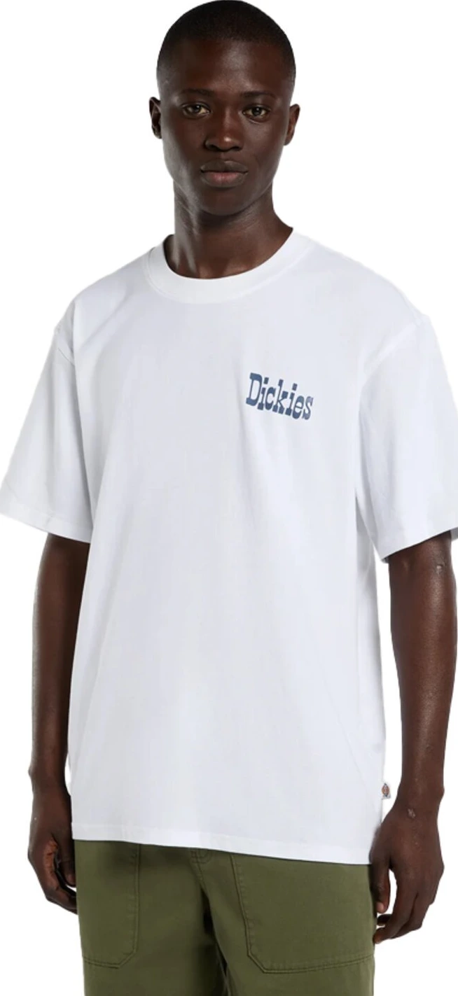 Dickies Vernal t-shirt, White, 2XL