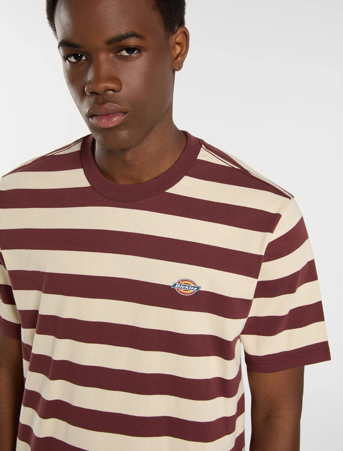 Dickies Rivergrove t-shirt andorra, Red, S