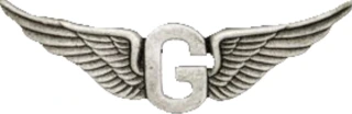 Biker pins Goldwing g wing pin