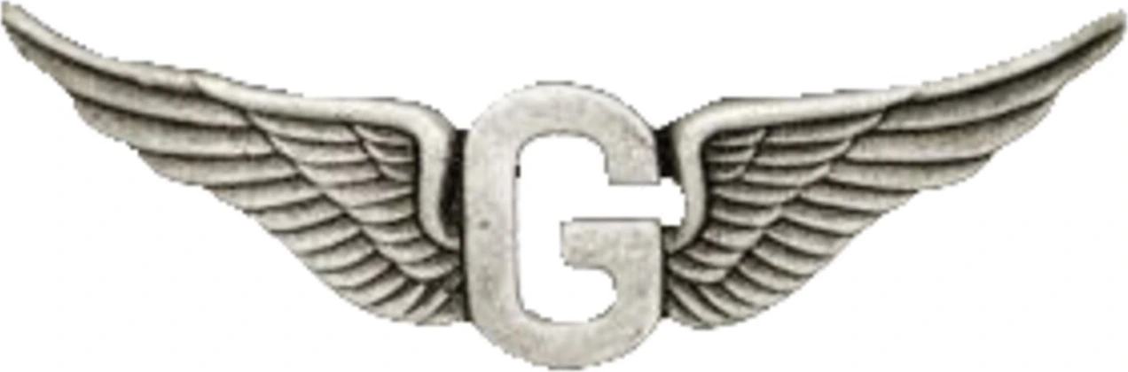 Biker pins Goldwing g wing pin