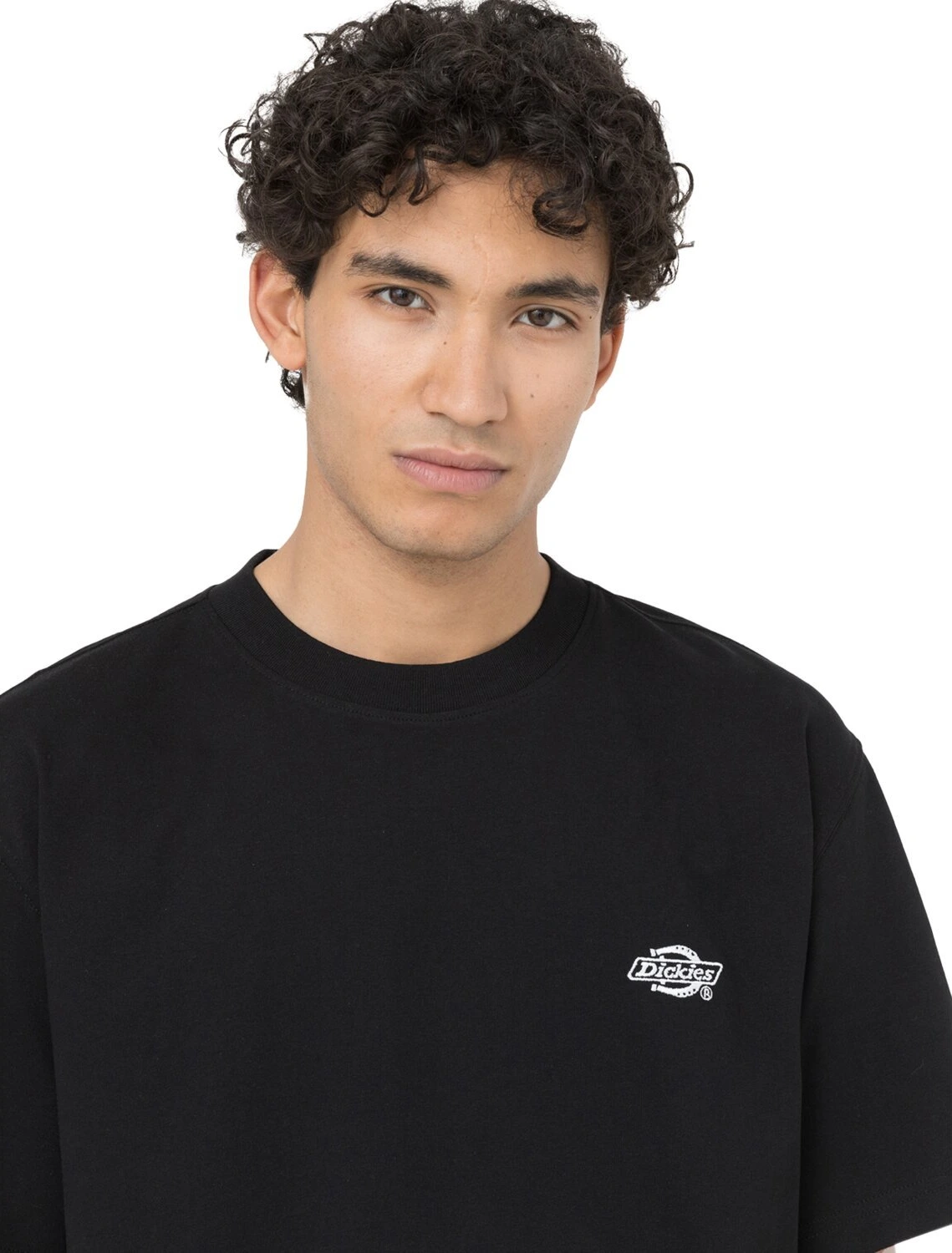 Dickies Summerdale t-shirt, Black, M