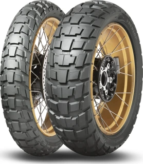 Trailmax Raid Tire