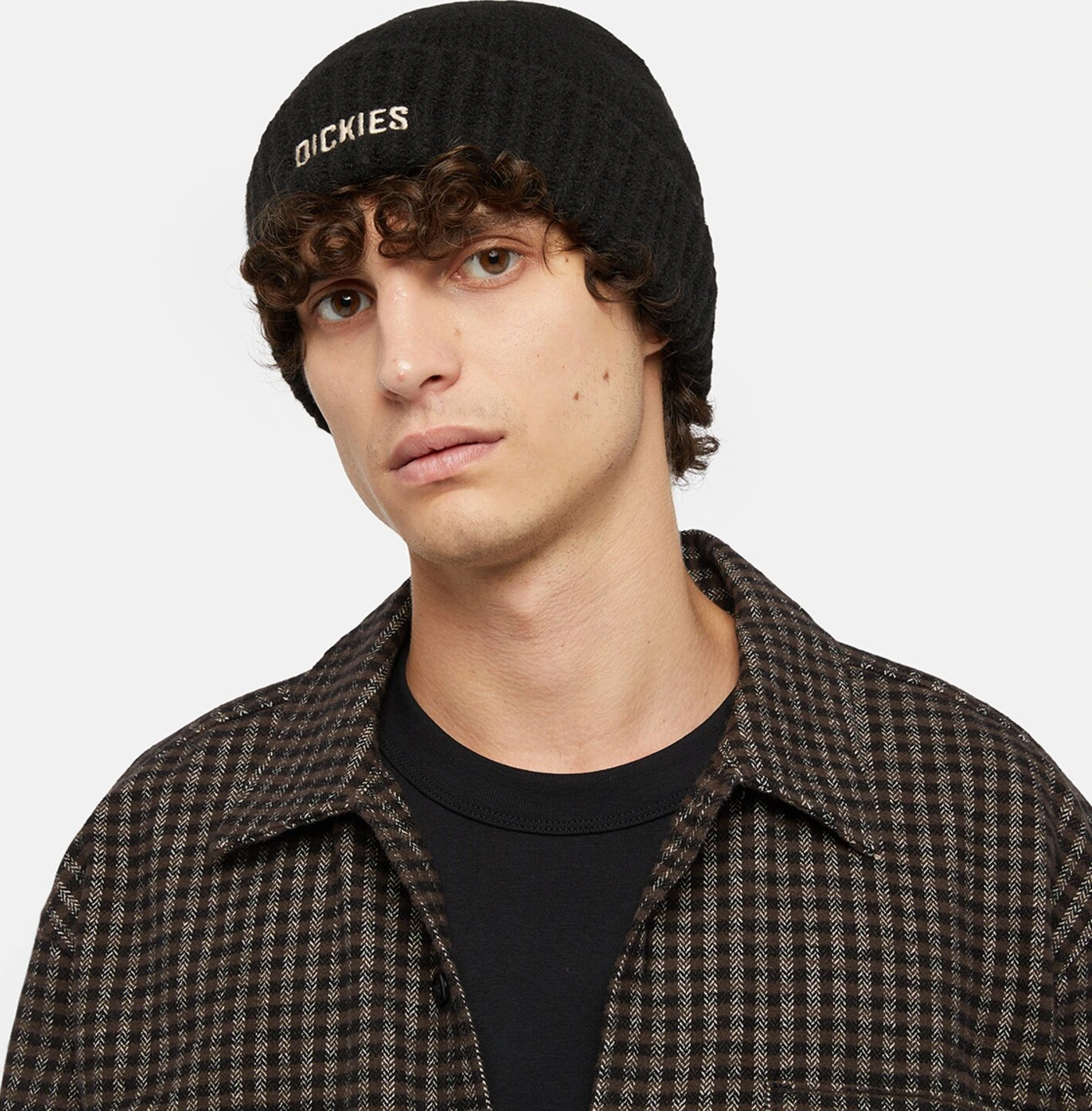 Dickies Harlowtown beanie, Black
