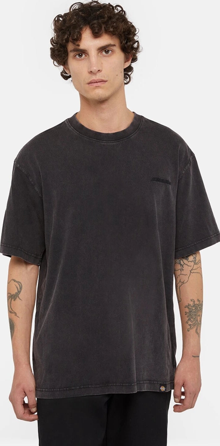 Dickies Plentywood t-shirt, acid wash, Black, M