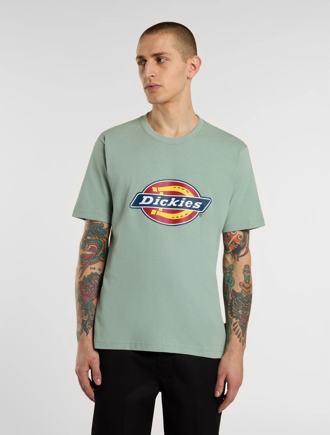 Dickies Icon Logo t-shirt iceberg green, 2XL