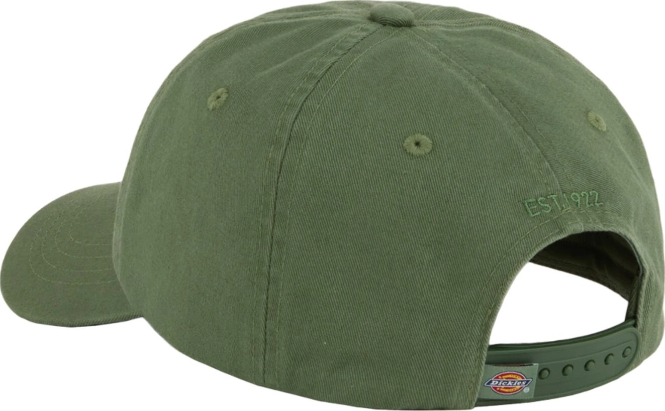 Dickies Hardwick cap