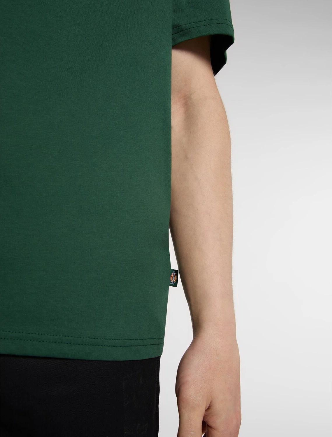Dickies Mapleton t-shirt, pine needle Green, Green, S