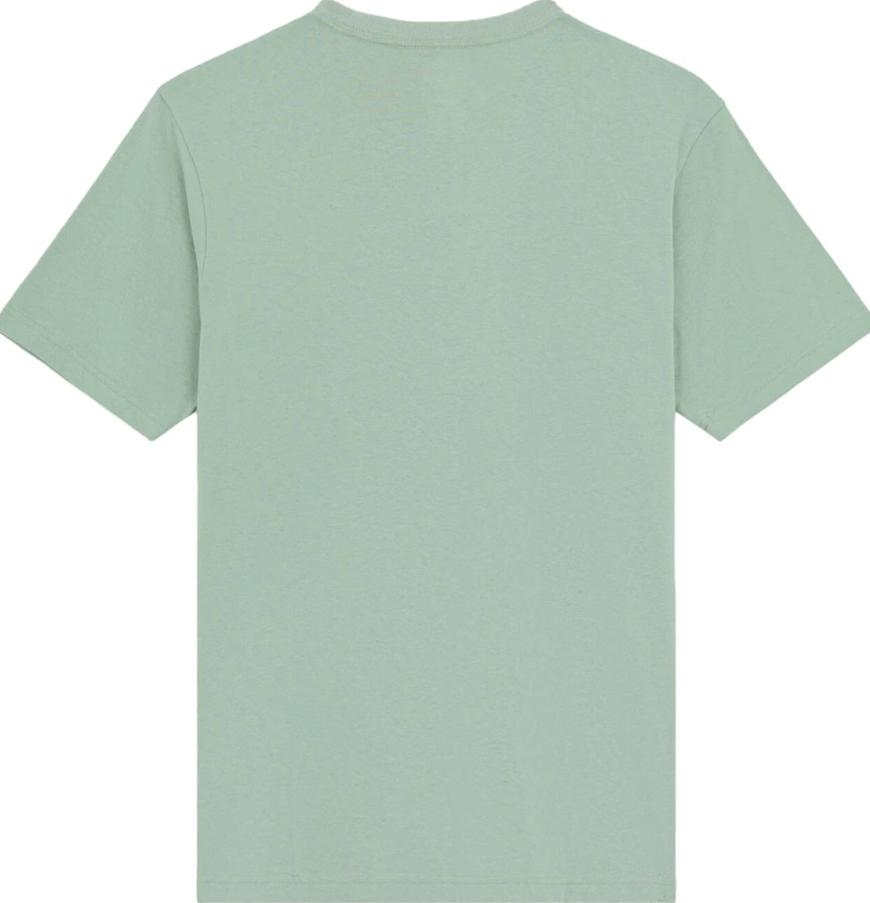 Dickies Icon Logo t-shirt iceberg green, 2XL