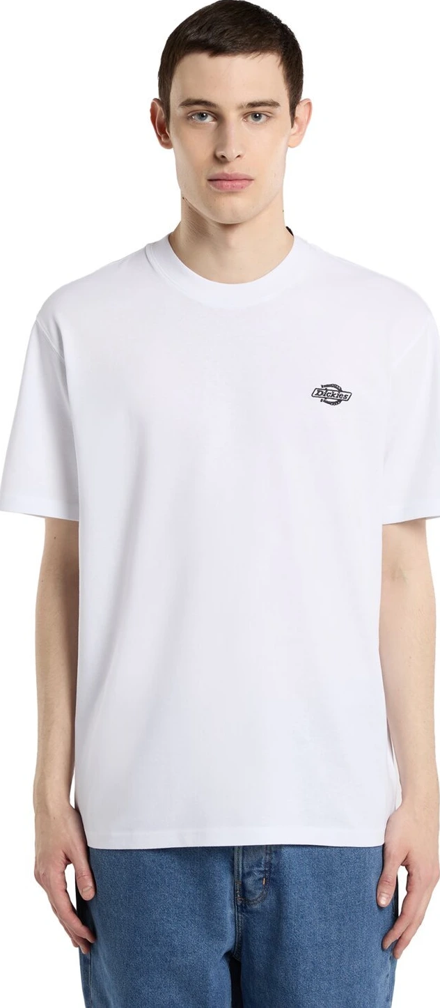 Dickies Summerdale t-shirt, White, M