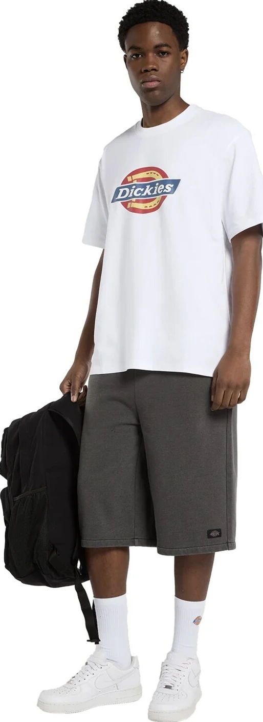 Dickies Icon Logo t-shirt, White, 2XL
