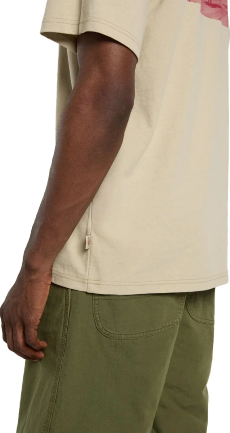 Dickies Millville t-shirt, eucalyptus Cream, 2XL
