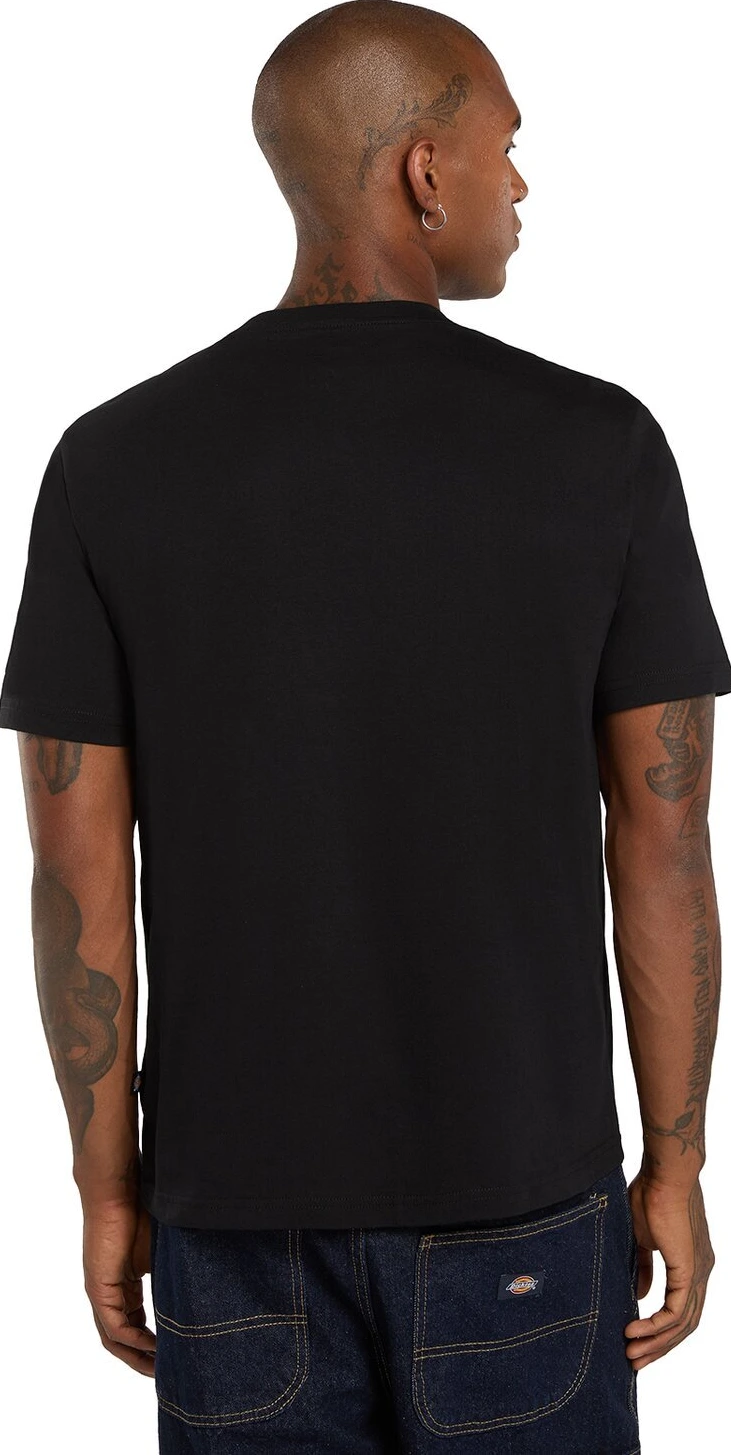 Dickies Mapleton t-shirt, Black, L