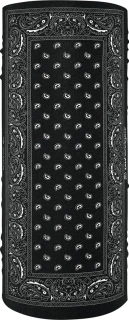 ZANheadgear Motley Tube polyester black paisley