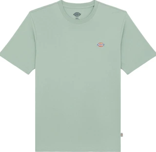 Dickies Mapleton t-shirt iceberg