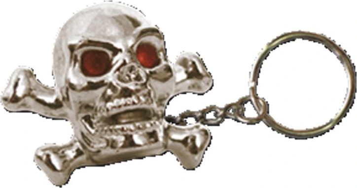 Triktopz Skull N Bones key chain, Silver