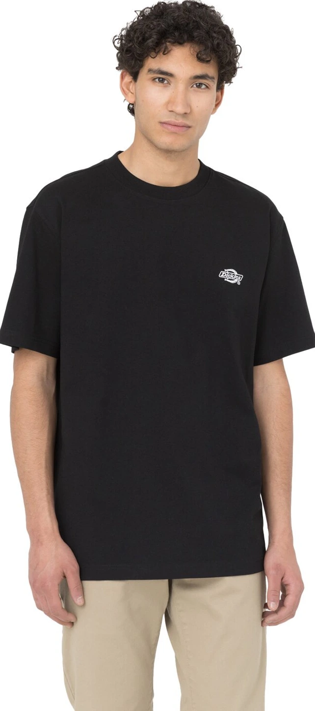 Dickies Summerdale t-shirt, Black, M