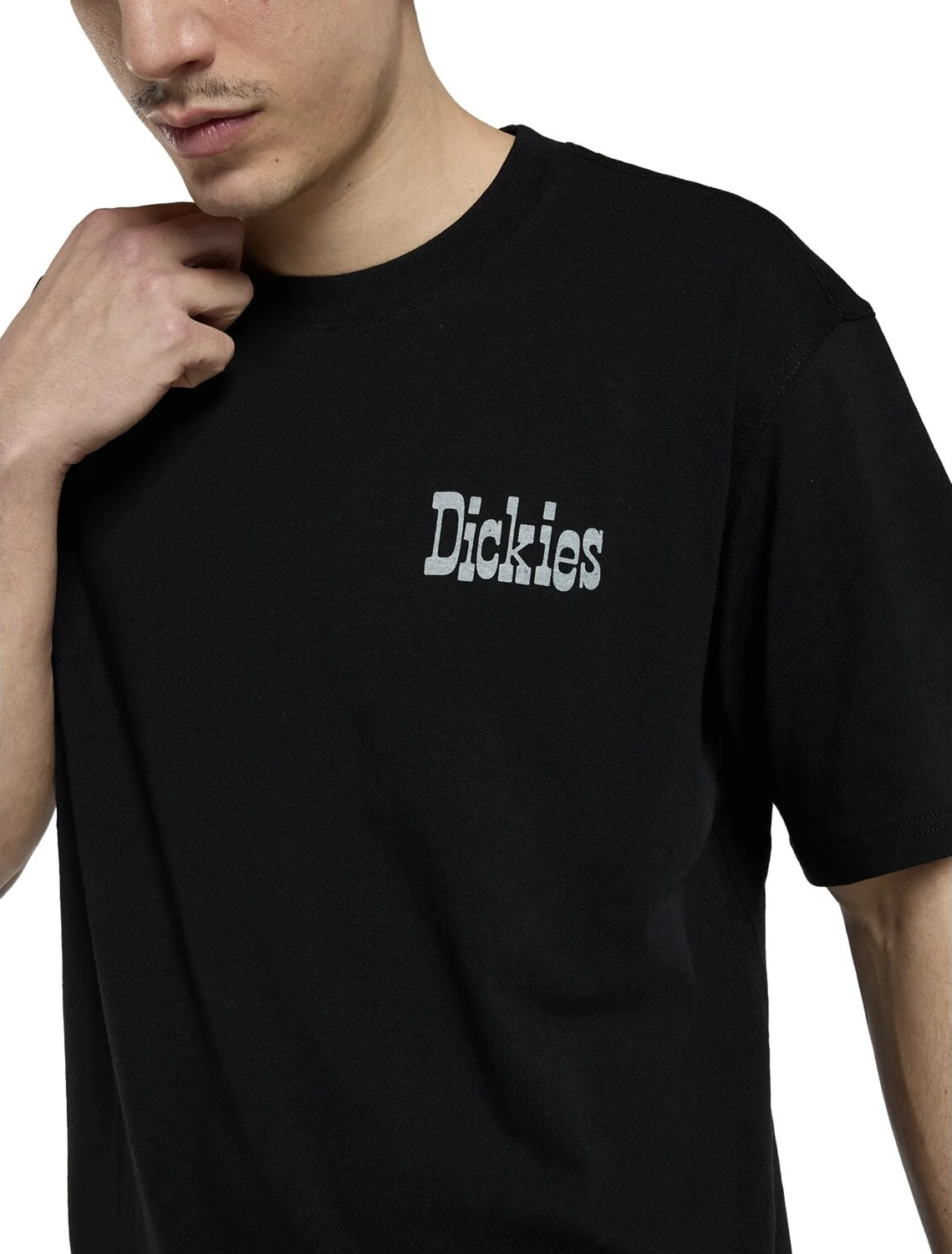 Dickies Vernal t-shirt, Black, 2XL