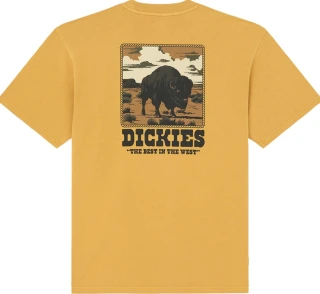 Dickies Darrtown t-shirt