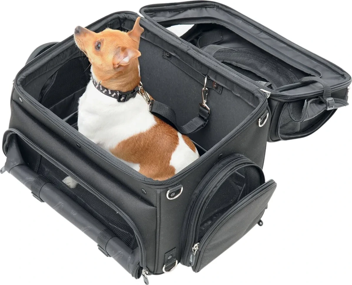 PET VOYAGER PC3200C