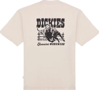 Dickies Buchtell t-shirt
